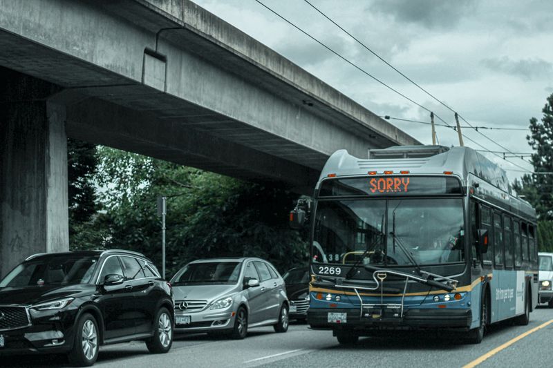 D Autobuses